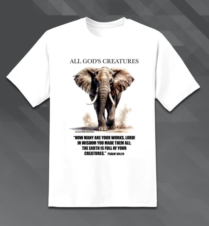 a48e3756-42eb-46c0-8cb3-eba718ccd916